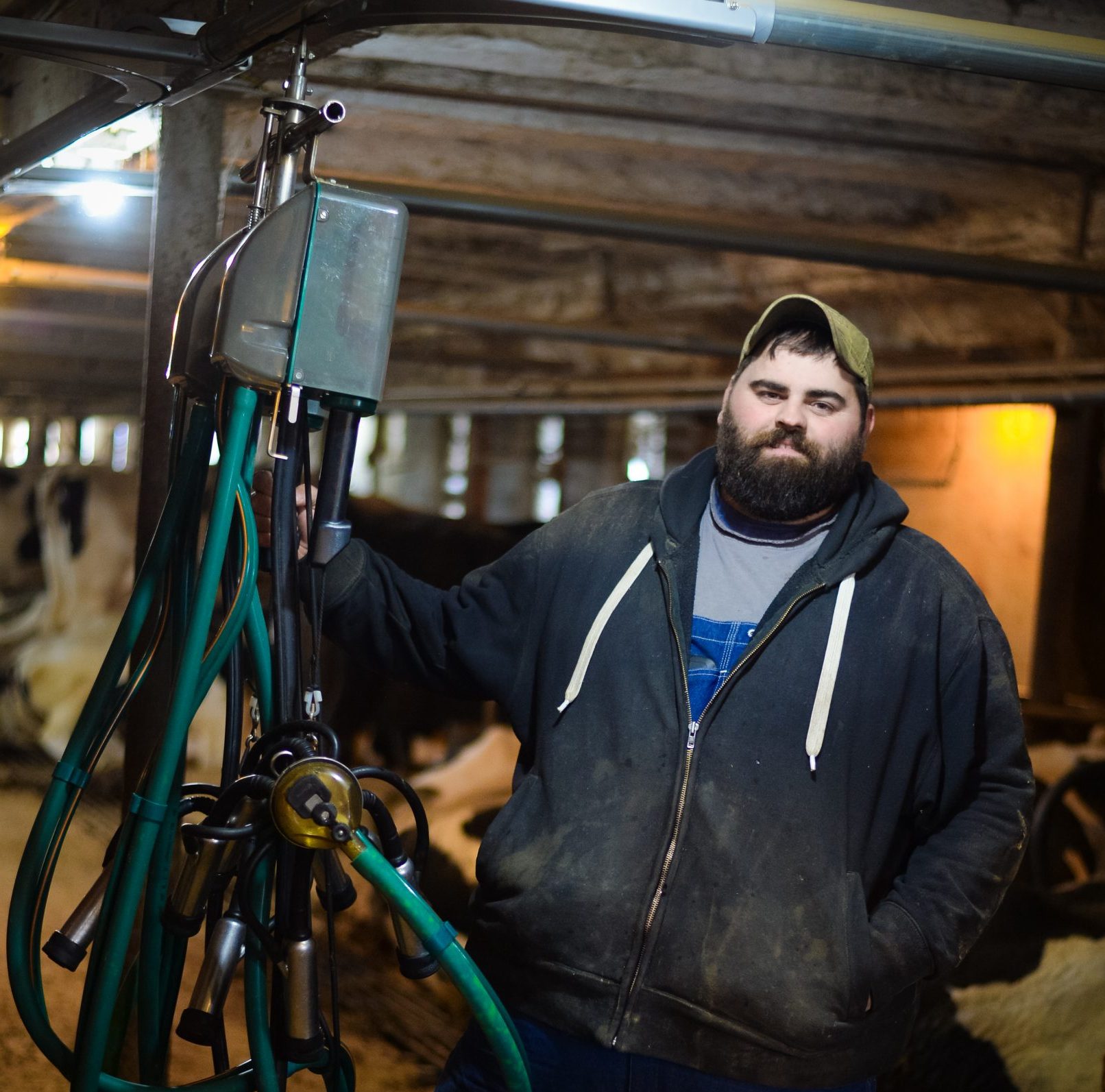 Andrew Snook dairy farmer